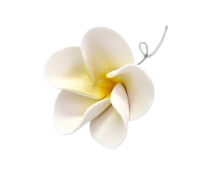 Aceites absolutos de Frangipani orgánicos puros de calidad garantizada para la piel y usos multiusos Fabricación en India Precios bajos - Product Image 5