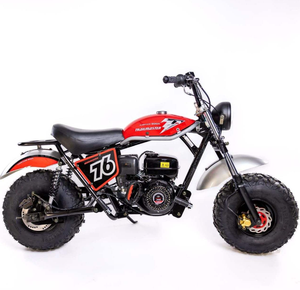 Motocicleta ORIGINAL NUEVA Trailmasters MB200 Lista para Enviar - Product Image 1