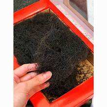 MOUSSE NOIRE SÉCHÉE VÉGAN FRIENDLY POUR UNE ALIMENTATION PROPRE ET UN RÉGIME ÉQUILIBRÉ IMMUNITAIRE - Product Image 3