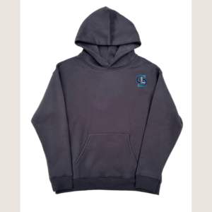 Sweat à capuche en coton vierge à manches longues pour femmes, hauts à capuche à manches longues pour femmes, avec service OEM, fabricant de vêtements personnalisés, vente en gros - Product Image 6