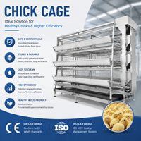 Fabricant de cages automatiques pour poules pondeuses, cages en batterie, équipement d'élevage avicole avec système d'alimentation, d'abreuvement et de collecte des œufs