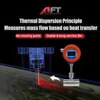 Débitmètre massique thermique haute stabilité sans pièces mobiles pour biogaz, air, GPL, méthane, pour usine de transformation d'acier OEM