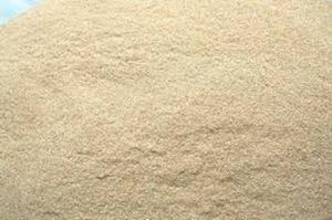 VENTA CALIENTE 2023] Polvo de cáscara de arroz seco fino de alto grado con precio competitivo Amarillo claro Max 15% disponible en pedidos a granel - Product Image 4