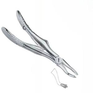 Produits de logo personnalisé de haute qualité Pinces d'extraction de dents dentaires Fig.3 Instruments dentaires en acier inoxydable - Product Image 4