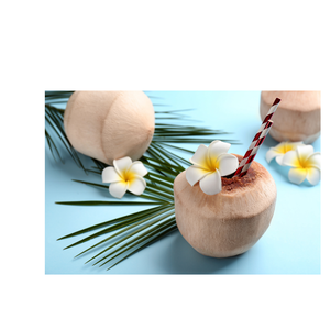 มะพร้าวสดที่มีรสชาติของเวียดนามผลิตภัณฑ์ทางการเกษตร - Product Image 5