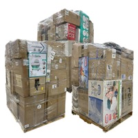 Vente Flash : Palettes de Liquidation en Gros – Produits Mixtes Électroniques et Articles Ménagers