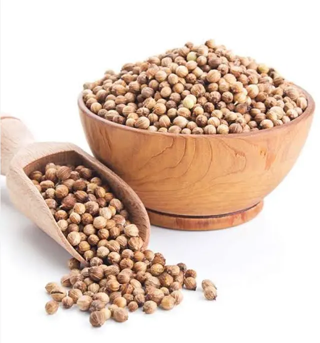 Wholesale Organic Dried Coriander Seeds Single Spices and Herbs | Fresh Coriander Seeds at Cheap Price by Isar International
