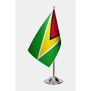 Drapeaux de bureau personnalisés de la Guyane 3x5 pieds, imprimés numériquement, divers matériaux (nylon, polyester, vinyle, tissu de soie), pour l'assurance automobile et l'éducation - Product Image 1