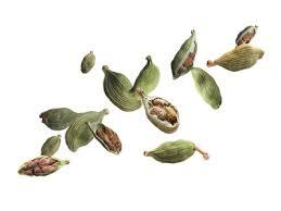 Cardamomo Verde de 6mm a 8mm, Vainas Gruesas Secas, Aroma Premium, Grado Orgánico, Limpio y Clasificado para la Venta - Product Image 3