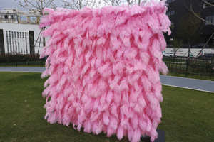 Autocollant de pissenlit pour toile de fond blanche suspendue de mariage <span class=keywords><strong>fleurs</strong></span> pour panneaux muraux de <span class=keywords><strong>fleurs</strong></span> mur de plumes roses - Product Image 2