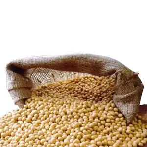 Grain de soja séché grade 1 & 2/Graine de soja sèche jaune sans OGM de haute qualité/Fèves de soja NON-GMO