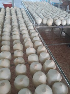 Jeune noix de coco fraîche du Vietnam offre spéciale - Product Image 4