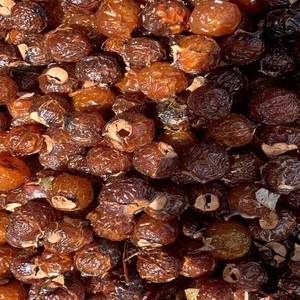 Bayas de Jabonera Secas Naturales para Lavandería Ecológica, Uso Doméstico, Proveedor Mayorista de Vietnam - Product Image 6