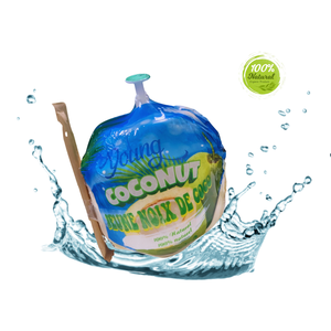 Fresh Young Coconut Shell los mejores maridajes para cócteles innovadores - Product Image 4