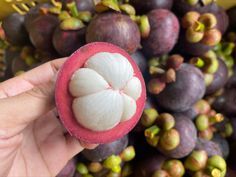 100% Dried Mangosteen From Fresh Mangosteen Organic Fruit Origin From Vietnam - Product Image 5