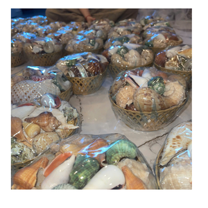 Artistic Seashell Bag Themed Bowl Using Polished Seashell Material For Room Decoration Produced In Vietnam - Product Image 2