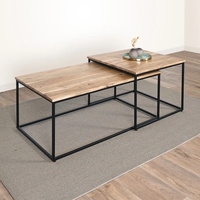 Ensemble de deux tables basses