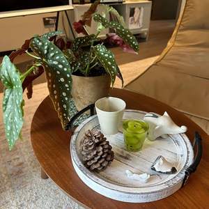 Plateau décoratif en bois d'acacia rustique 13 "plateaux de table basse de service ronds avec poignées en métal noir bougeoir parfum - Product Image 5