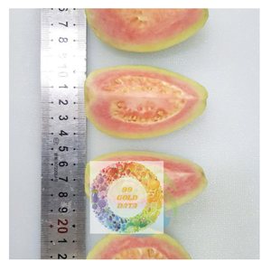 ชิ้นส่วนฝรั่งสีชมพูแช่แข็งคุณภาพสูง IQF เวียดนามส่งออกรสชาติสดและอุดมไปด้วยวิตามินซี - Product Image 2