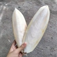 Tulang cumi tanpa bahan kimia digunakan aman dengan harga rendah kualitas tinggi barang terlaris Tersedia dengan jumlah besar