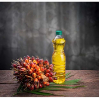 Huile de palmiste raffinée à prix abordable, 100 % naturelle, qualité supérieure, bouteille en verre du Brésil pour la cuisson