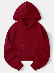 Sweat à capuche en molleton court pour femme Logo avant personnalisable Vêtements d'hiver avec col à capuche Sweatshirts Pakistan - Product Image 4