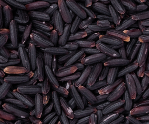 Riz Glutiné Noir de Qualité Supérieure Chef Choice Grain Long Bon pour la Santé Cultivé Naturellement 5Kg 10Kg 25Kg 50Kg Sac BOPP PAPE PP - Product Image 2