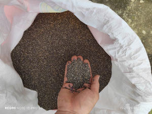 อาหารเสริมสำหรับผู้ใหญ่ระดับสูงระดับสูงของเวียดนามเมล็ดเจียแห้ง100% การเพาะปลูกแบบออร์แกนิก - Product Image 4