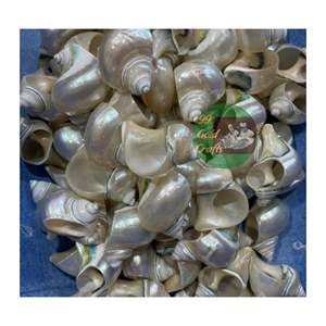 Hermoso recuerdo de concha artesanal costera Servilleteros de concha marina Artesanía de concha marina creativa de Vietnam - Product Image 4