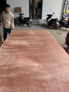 Chapa de Madera Natural de Okoume para Revestimiento de Puertas y Muebles |   Fabricante de Vietnam - Product Image 5