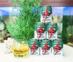 Échantillon gratuit de boisson énergisante au ginseng en marque privée, fabricant de boissons gazeuses HACCP HALAL au Vietnam - Product Image 4