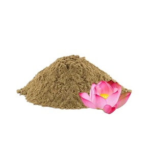 Meilleur fournisseur d'extrait de fruit de lotus sauvage pur à 100% en poudre, emballé sous vide en bouteille/tambour, en provenance d'Inde aux meilleurs prix - Product Image 1