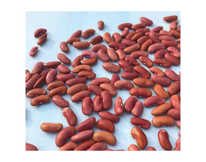 Haricots Blancs de Qualité Supérieure Naturels en Gros pour l'Exportation – Grands Haricots Blancs de Haute Qualité en Vrac Rouges - Product Image 5