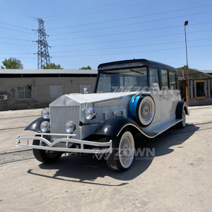 Nouvelle option économique de voiture de tourisme scénique classique électrique vintage pour les visites en bus et en voiture vente à durée limitée - Product Image 2