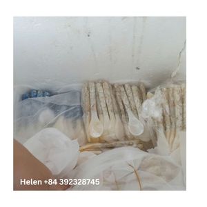 CUCHARA DE TÉ Y CAFÉ DE MADRE DE PERLA HECHA A MANO DE VIETNAM CUCHARA ÚNICA DE TAMAÑO MINI ACCESORIOS PARA BEBER HECHO DE CONCHA DE MAR - Product Image 2