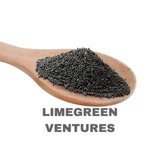 Semillas de Colza de Doble Lengua, Marca Brassica Napus, Semillas Oleaginosas, Exportador a Granel de la India, 12 Meses de Duración, Saludables - Product Image 5