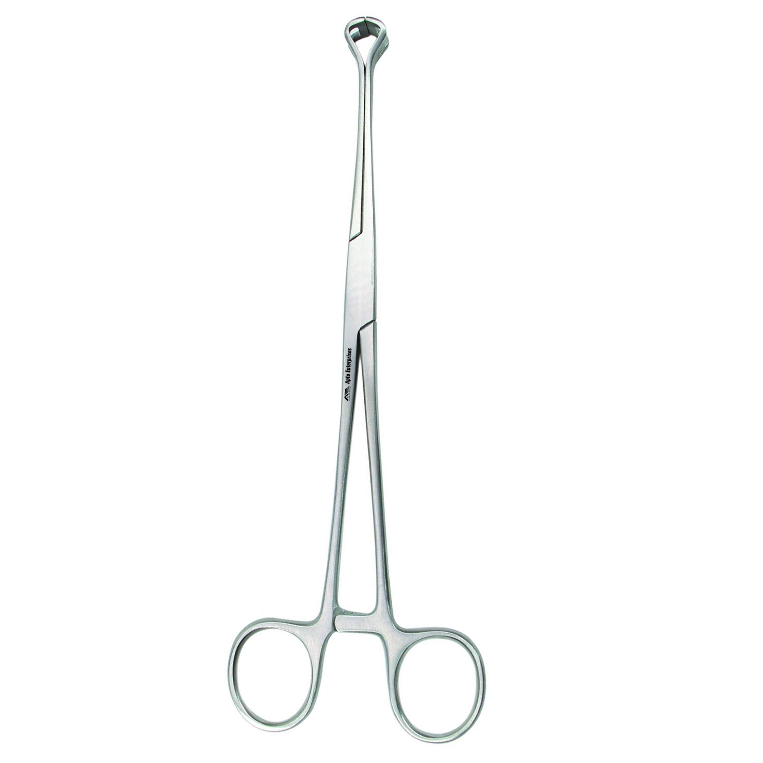 Babcock Tissue Holding Forceps