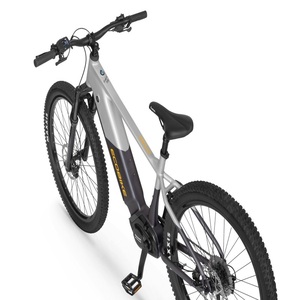 Vélo électrique Ecobikes Mauler en livraison directe - Product Image 1