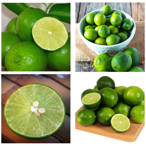 เวียดนามมะนาวไร้เมล็ดเขียวสดมะนาวคุณภาพระดับพรีเมียมสำหรับการส่งออกเครื่องดื่มการทำอาหารขายส่งจำนวนมาก - Product Image 4