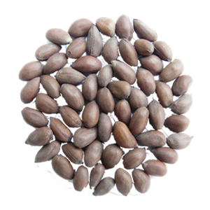 Semillas de algodón al por mayor disponibles para uso agrícola calidad premium - Product Image 5