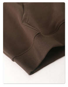 Prix usine personnalisé imprimé coton sweats à capuche 430 GSM qualité supérieure sweats en gros doux chaud brodé automne - Product Image 6