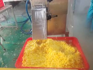 Ananas surgelés au meilleur prix, procédé de congélation IQF, qualité supérieure, Tibit Ball 10% Brix, qualité supérieure, emballés sous vide - Product Image 3