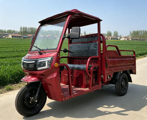 Camion électrique, mini-camions électriques, véhicules à énergie nouvelle, scooters électriques, voitures électriques, scooters L2e-U, scooters ego Shk, scooters Valot, à prix abordable - Product Image 1