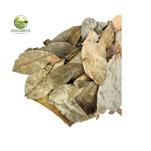 Feuilles de corossol bio séchées en gros, feuilles de Graviola de qualité supérieure pour tisane, emballage personnalisé, fournisseur Vietnamien - Product Image 1