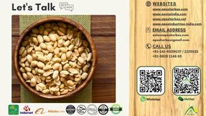 Arachides Bold Peanuts Bold 40 50, Fournisseur d'Arachides Bold Peanuts, Vente en Gros d'Arachides Bold Peanuts, Exportateur d'Arachides Bold Peanuts, Fabricant d'Arachides Bold Peanuts - Product Image 3