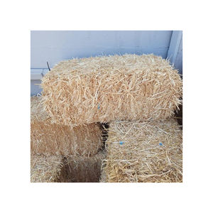 ฟางข้าวบาร์เลย์คุณภาพสูงกระจายสินค้าส่งออกจำนวนมากพร้อมส่งราคาประหยัด - Product Image 5