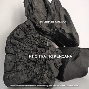 BARBECUE de poulet et de bœuf avec indonésie HALABAN BARBECUE en bois dur BARBECUE au charbon de bois célébration EID AL FITR Ar rafaah UNI émirats arabes - Product Image 6