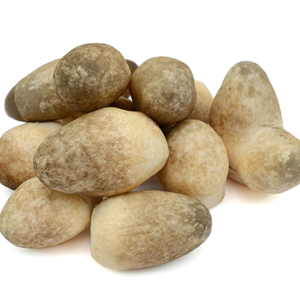 SETA TRAW DE VIET NAM LISTO PARA EXPORTAR DESDE VIETNAM PROVEEDOR CON PRECIO BARATO Y ALTA CALIDAD - Product Image 1