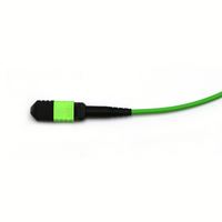 Cordon de brassage Elite à faible perte 10m MPO vers MPO OM5 Multimode Prêt SWDM4 400G 800G pour l'infrastructure IA