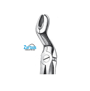 Fórceps de extracción de acero inoxidable de alta calidad terceros molares superiores Fig 67 exportadores y fabricante - Product Image 5